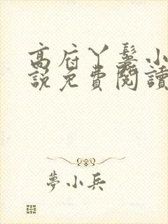 高府丫鬟小说小说免费阅读无弹窗封面