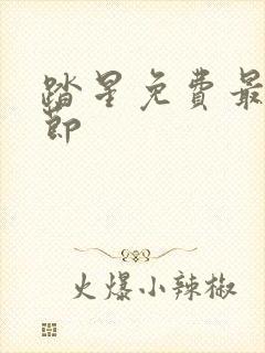 踏星免费最新章节