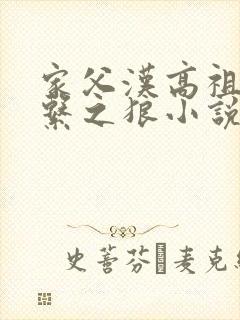 家父汉高祖历史系之狼小说