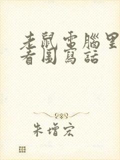 老鼠电脑里的猫看图写话