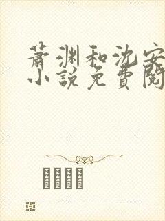 萧渊和沈安安的小说免费阅读封面