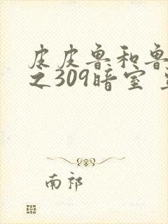 皮皮鲁和鲁西西之309暗室 豆瓣