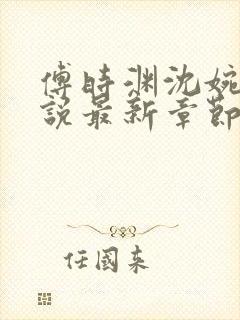 傅时渊沈婉婷小说最新章节