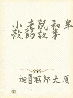 小老鼠和半个蛋壳的故事封面
