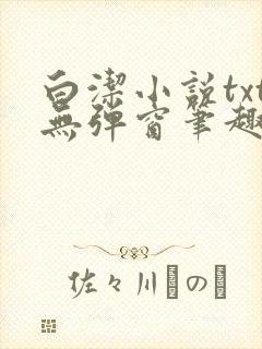 白洁小说txt无弹窗笔趣阁