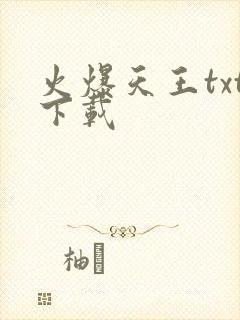 火爆天王txt下载