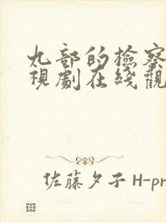 九部的检察官电视剧在线观看14免费