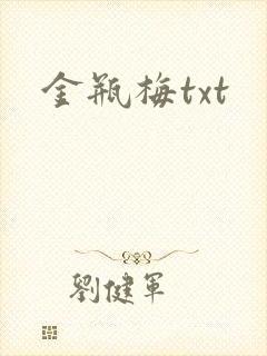 金瓶梅txt封面