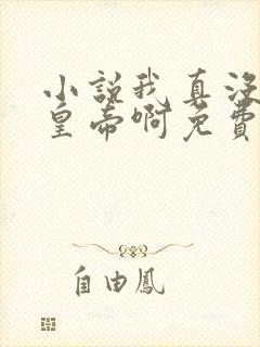 小说我真没想当皇帝啊免费阅读