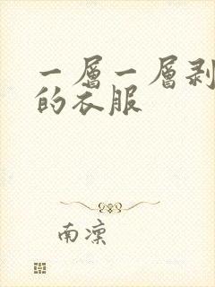 一层一层剥开我的衣服