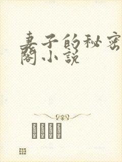 妻子的秘密笔趣阁小说