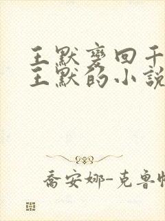 王默变回千年前王默的小说