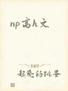 np高h文封面