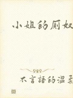 小姐的厕奴封面