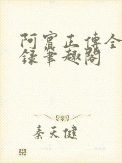 阿宾正传全文目录笔趣阁封面