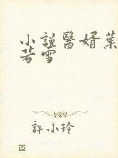 小说医婿叶凡唐若雪