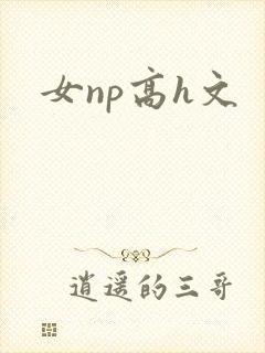 女np高h文