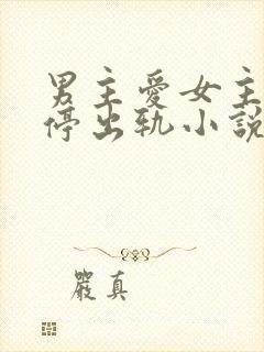 男主爱女主却不停出轨小说