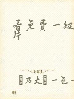 看免费一级黄色片封面