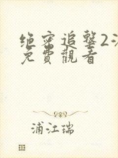 绝密追击2洪爽免费观看