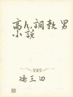 高h,调教男男小说