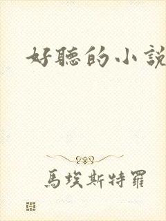 好听的小说名字封面