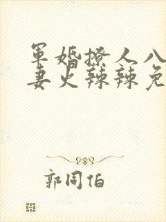 军婚撩人八零娇妻火辣辣免费阅读最新章节封面