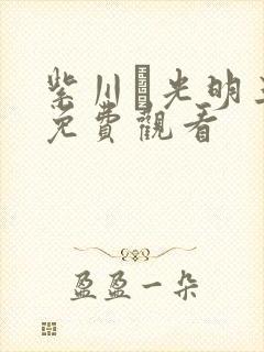 紫川·光明三杰免费观看封面