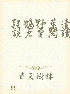 段鹤野叶清璃小说免费阅读最新章节