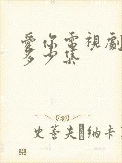 爱你电视剧一共多少集封面