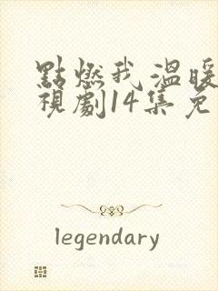 点燃我温暖你电视剧14集免费观看封面