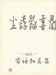 小老鼠看见电脑上的猫看图写话