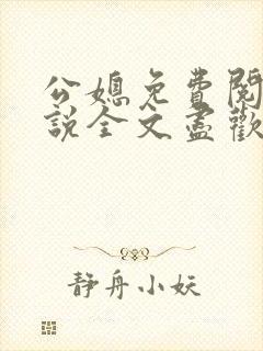 公媳免费阅读小说全文尽欢年代