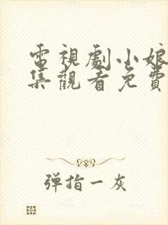 电视剧小娘惹全集观看免费封面