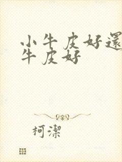 小牛皮好还是胎牛皮好