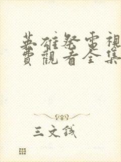 英雄祭电视剧免费观看全集