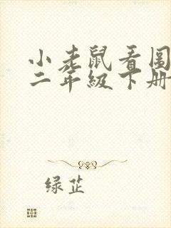 小老鼠看图写话二年级下册