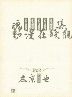 魂インサート集动漫在线观看