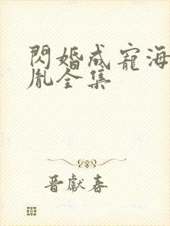 闪婚成宠海彤战胤全集封面