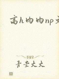 高h肉肉np文封面