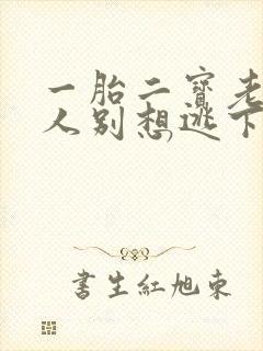 一胎二宝老婆大人别想逃下载