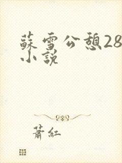 苏雪公憩28篇小说