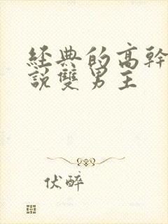 经典的高干文小说双男主