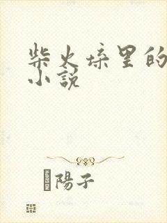 柴火垛里的疯狂小说