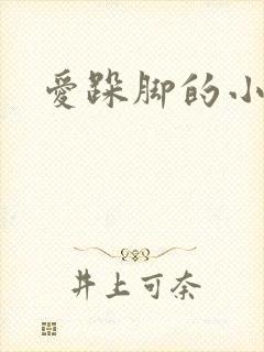 爱跺脚的小老鼠封面