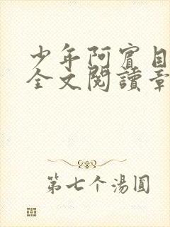 少年阿宾目录及全文阅读章节