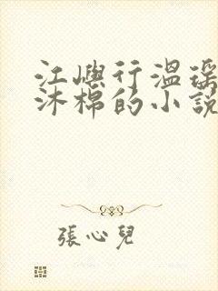 江屿行温瑶和林沐棉的小说封面