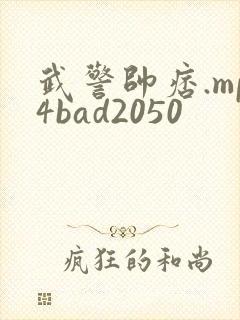 武警帅痞.mp4bad2050
