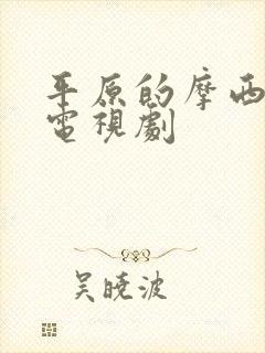 平原的摩西在线电视剧封面