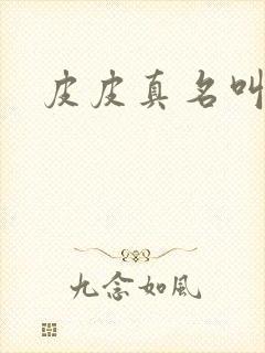 皮皮真名叫什么